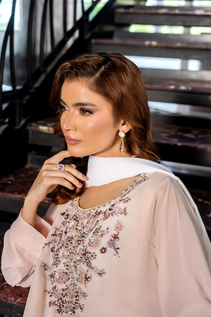 REINE AIR LINE